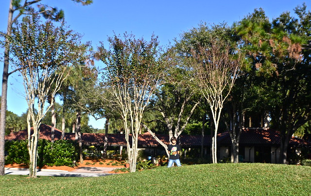 Villas of Grand Cypress Review – A Splurge That Everyone Needs to Take