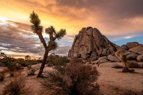 The Best Road Trips from Los Angeles
