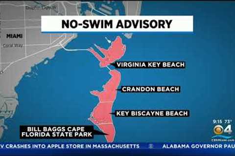 No Swim Advisory In Miami-Dade After Sewer Overflow From Heavy Rainfall