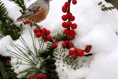 ‘Winter’ by Tommy Makem
