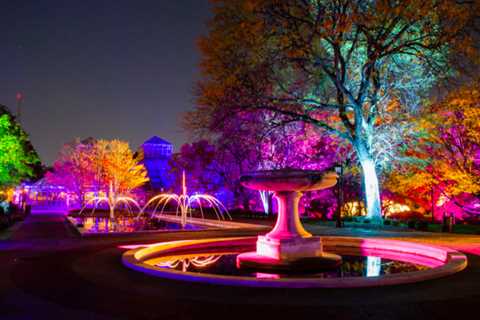 Botanically-inspired, acclaimed Lightscape returns to Brooklyn Botanic Garden