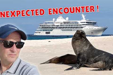 I Went On A Galapagos Cruise Unprepared. Here's What happened