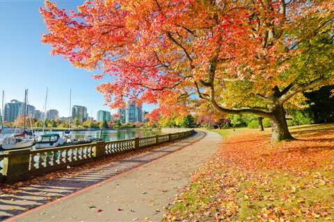 Where to Find a Park in Vancouver