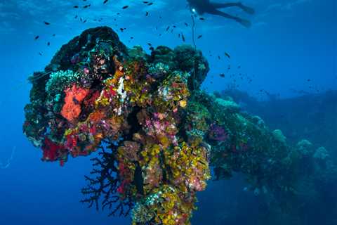 Go Deep: 5 reasons to complete your PADI Deep Diver course!