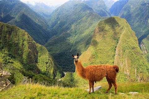 The 20 Best Places to Visit in South America