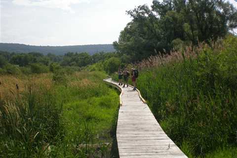 Top 7 Best Hikes in the United States You Need To Try