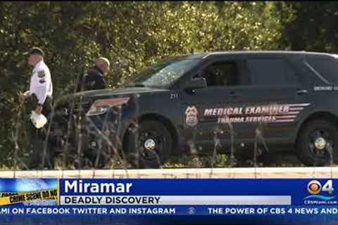 Body Found by Side of Road in Miramar