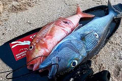 Hawaii Spearfishing For Uku, Weke Nono, And More!