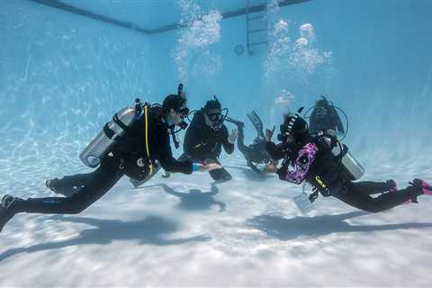 Scuba Diving Refresher Checklist: Everything You Need to Get Back in the Water