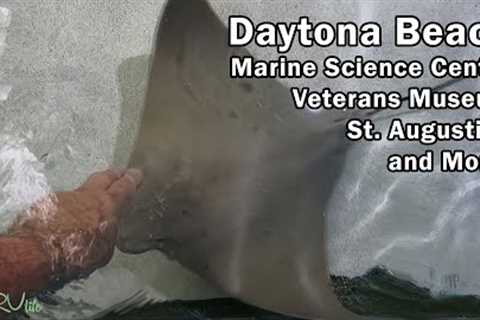 Daytona Beach, Marine Science Center and More!