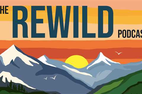 New rewild podcast series to take listeners on an inspiring audio journey