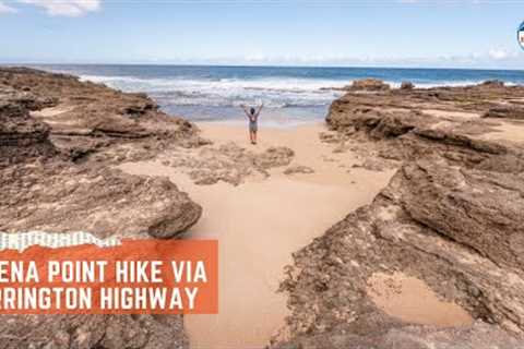 How to Hike to Kaena Point via North Shore, Hawaii