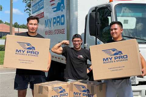 Where To Find Cheap Moving Boxes In Northern Virginia? | MyProMovers