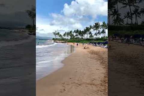 MOKAPU Beach MAUI Hawaii Beach of the Day Apr 26 2023 @AdventuresWithTodd