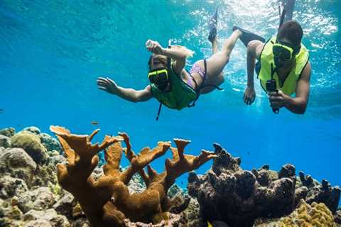 Snorkeling in Panama City Beach: An Expert's Guide