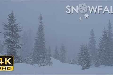 4K Snowfall - Peaceful Snowing - Snow Falling - Relaxing Winter Video - Ultra HD - 2160p