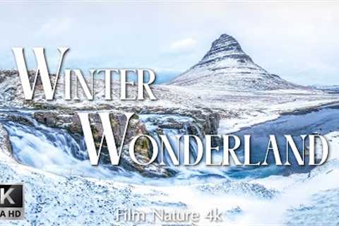 (4K) 2 Hours of Winter Wonderland - Peaceful Relaxing Music - Nature 4k Video UltraHD