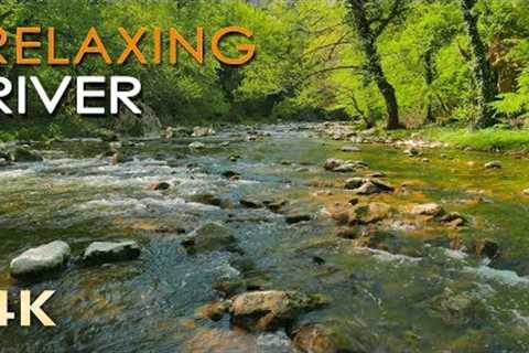4K Relaxing River - Ultra HD Nature Video -  Water Stream & Birdsong Sounds -..