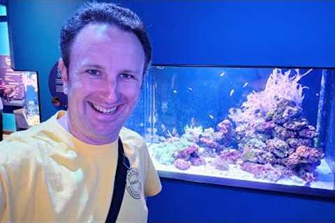 Best Aquarium in San Diego: Birch Aquarium at Scripps