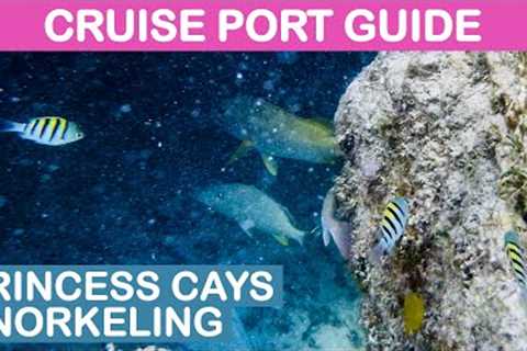 Princess Cays (Bahamas): Snorkeling On Your Own