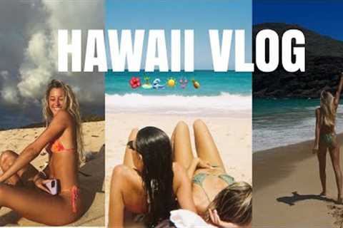 HAWAII VLOG🌺 🌊🍍🏄‍♀️🏝 || north shore, shark diving, sunrise shack + more - OLIVIA MASSUCCI