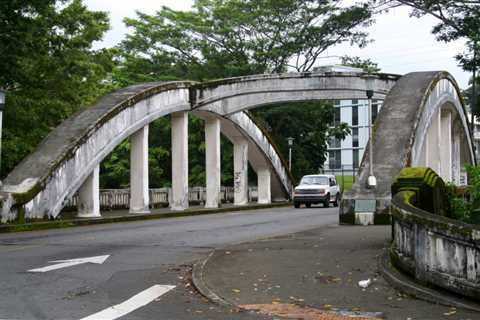 Traffic advisory: Avoid Puʻueo Street Bridge in Hilo due to large tree fall