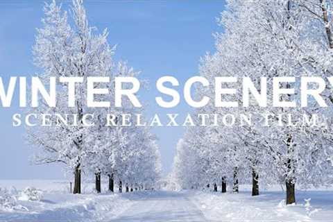 Beautiful Relaxing Music, Peaceful Soothing Instrumental Music, Beautiful Winter Scenery