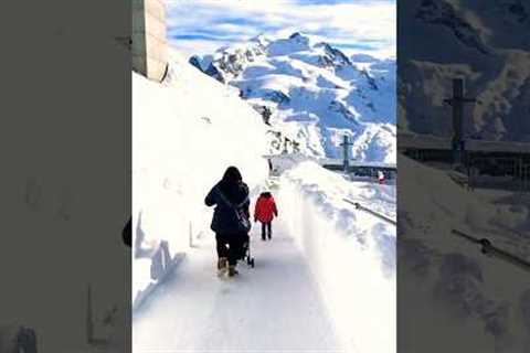 Zermatt, Switzerland #shorts #traveldiaries #travel #zermatt #switzerland