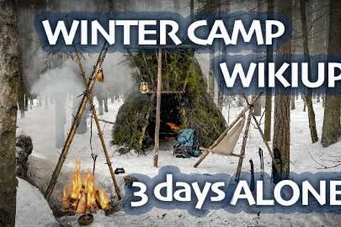 Winter Bushcraft - WIKIUP Shelter - 3 Days ALONE in WINTER Forest - BUSHCRAFT Trip & Skills -..