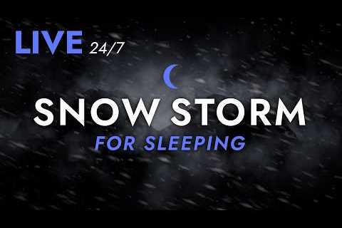 🔴 Fall Asleep to Snow Storm Sounds for Sleeping - Dimmed Screen | Live Stream - Blizzard Sounds