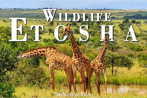 Documentary 4K Video Ultra HD: Visit Etosha National Park Most Amazing & Dangerous Garden With..