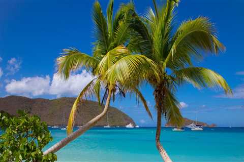12 Best Beaches in the US Virgin Islands for Windsurfing