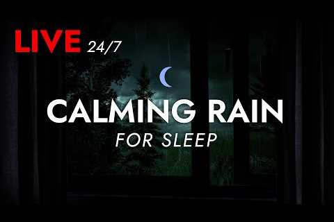 🔴 Rain Sounds for Sleeping with an Open Window Experience  - 24/7 Livestream | Deep Sleep Sounds