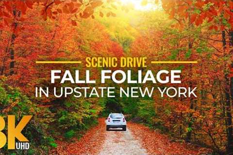 Fall Foliage in Upstate New York - Colorful Autumn Vibes in 8K Scenic Drive Video