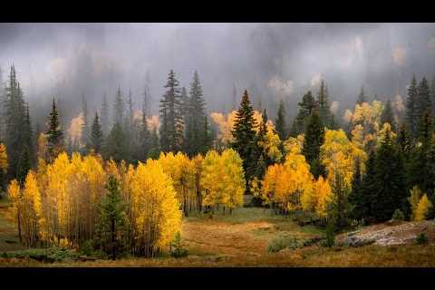 Beautiful Relaxing Music, Peaceful Soothing Piano Music, Mountain Fall Foliage by Tim Janis
