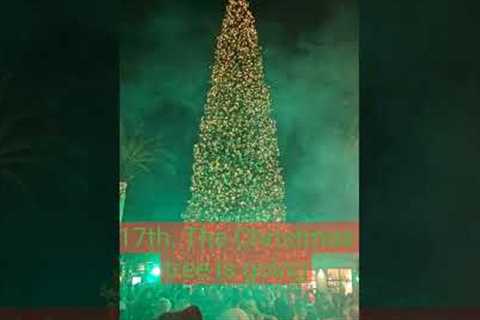 90 Foot Tall Christmas Tree in Newport Beach