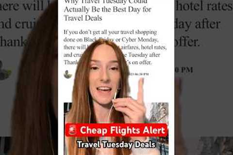 Cheap Flight Deals You Don’t Want to Miss! #travel #cheapflights #shorts