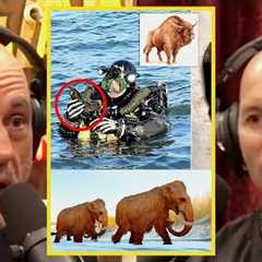 JRE: Woolly Mammoth Bones Found in NYC?!