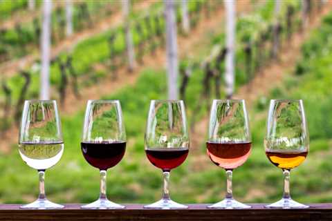 Best Wineries to Visit in All 50 States