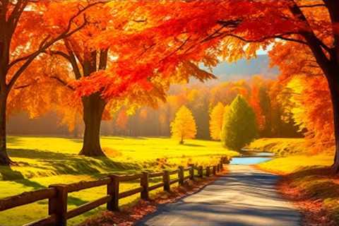 WONDERFUL AUTUMN FOREST🍂 November Autumn🍁Gentle Music Restores The Nervous System Satisfies The..