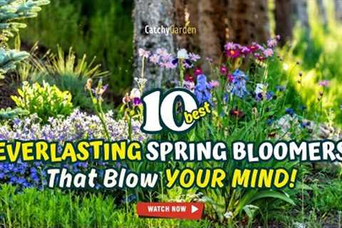 TOP 10 EVERLASTING SPRING BLOOMERS That Blow YOUR MIND! 💥🌻🚀 // Gardening Ideas
