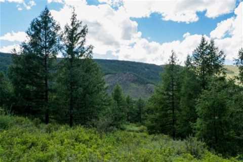 Majestic Beauty of Bogd Khan Mountain: A Trekker's Paradise - Discover Altai