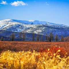 Khentii Mountains: Nature's Grandeur