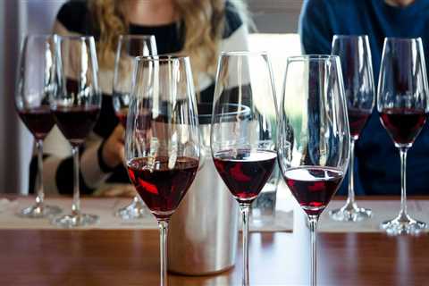 How do you survive a wine tour?