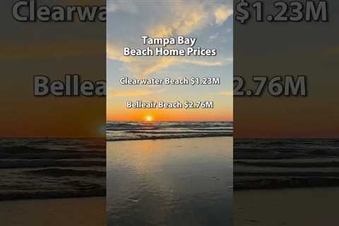 Tampa Bay Beach Home Prices #shorts  #florida #sellingtampa