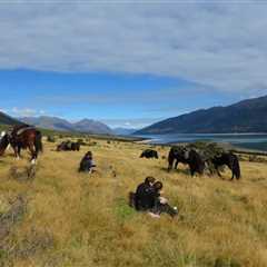 Mongolia horseback riding tours