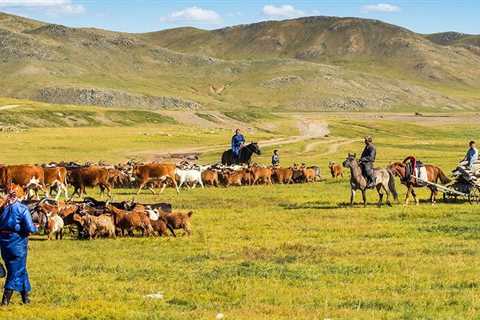 What is a nomadic lifestyle? - Discovering Mongolia's Nomadic Lifestyle