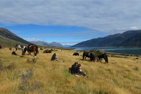 Mongolia horseback riding tours