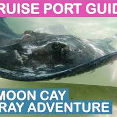 Half Moon Cay (Bahamas) Cruise Port Guide: Stingray Adventure