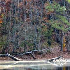 Uncovering the Hidden Gems of Cobb County, Georgia